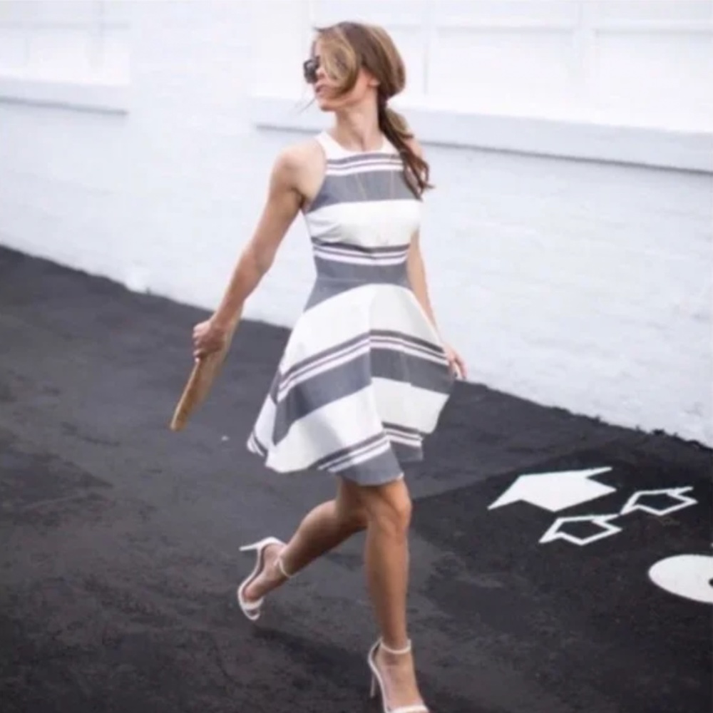 NWOT Elizabeth And James Magdalena Stripe Dress